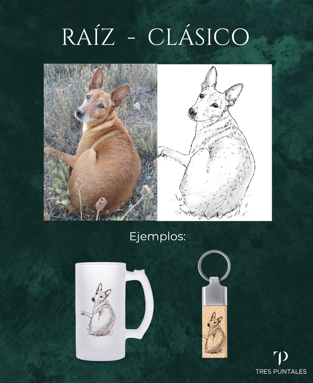 CLÁSICO - RAÍZ - Diseño Personalizado