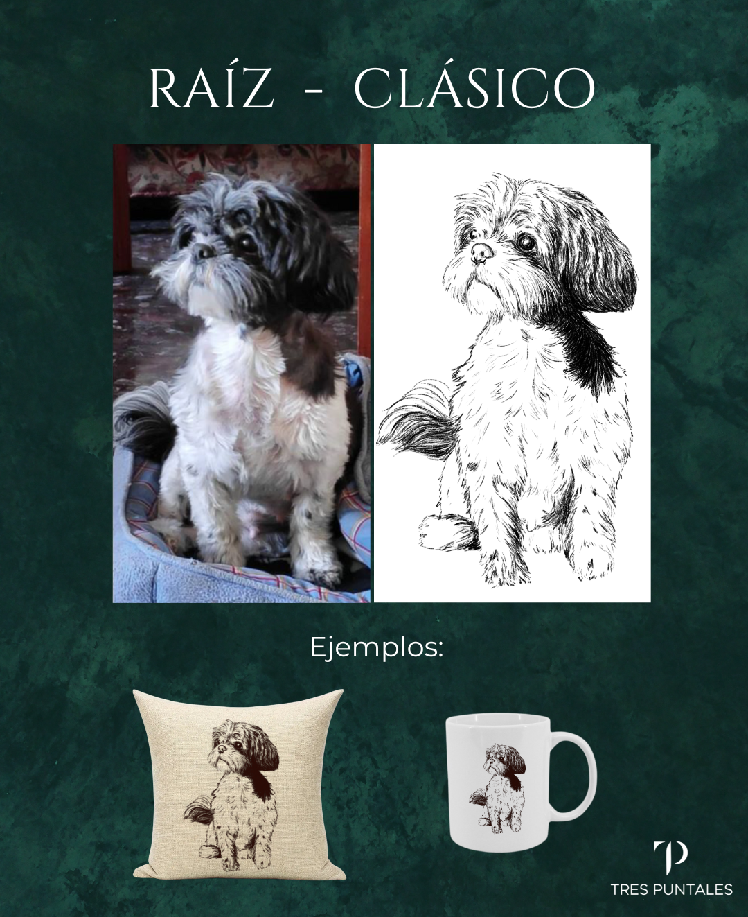 CLÁSICO - RAÍZ - Diseño Personalizado