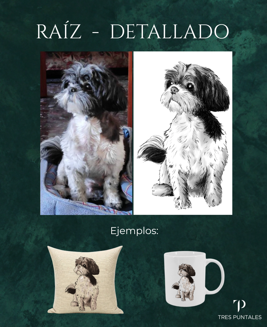DETALLADO - RAÍZ - Diseño Personalizado