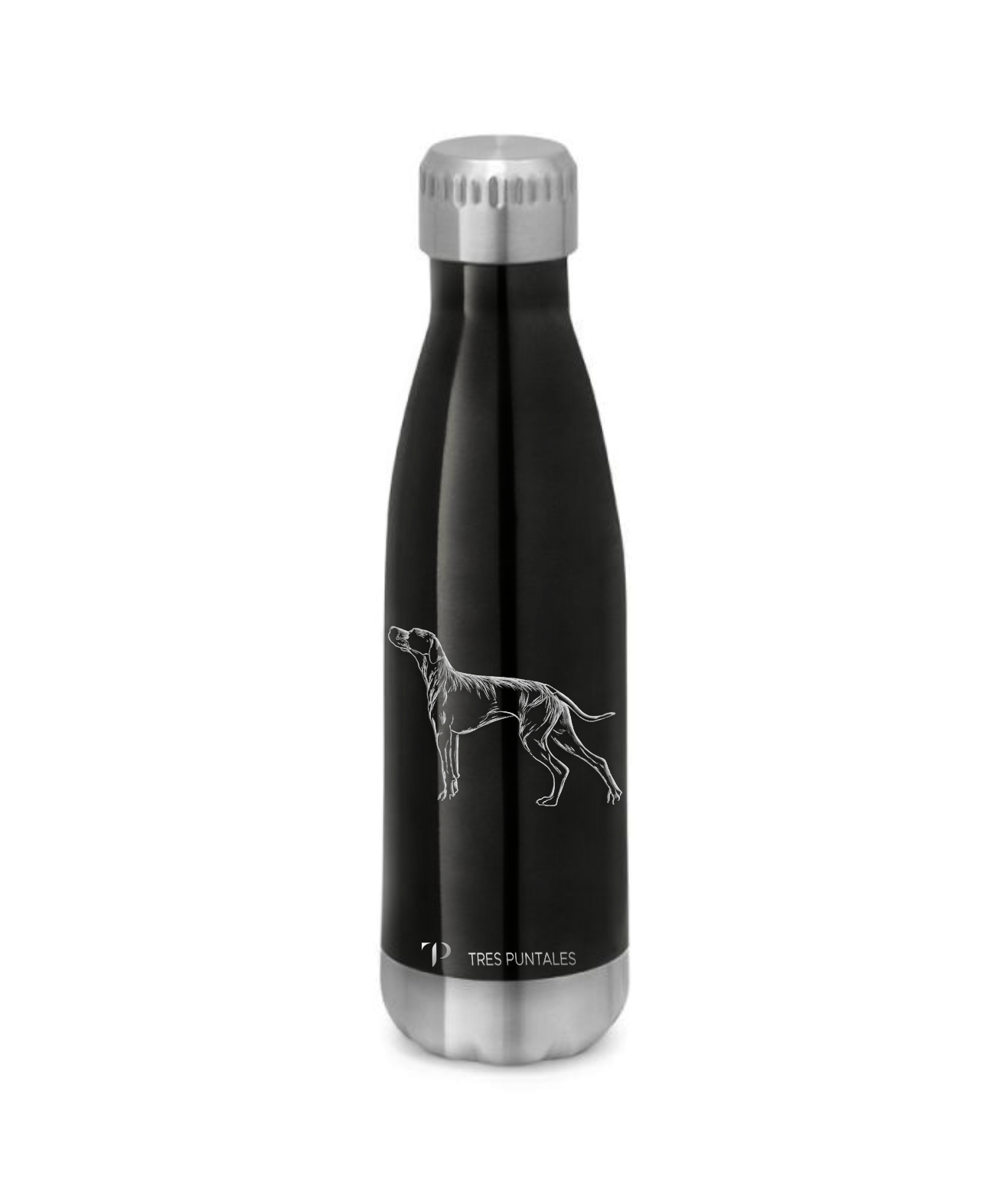 Pointer - Botella Térmica