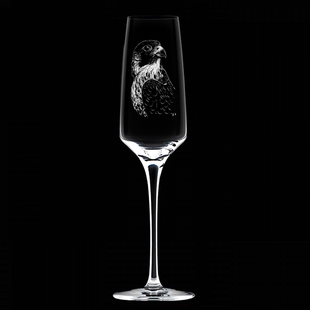 Halcón Peregrino - Copa de vidrio