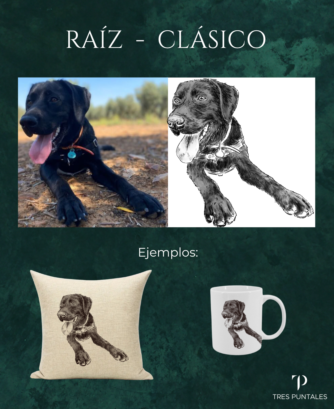 CLÁSICO - RAÍZ - Diseño Personalizado