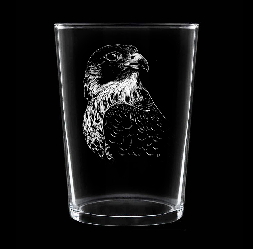 Halcón Peregrino - Vaso ancho de vidrio