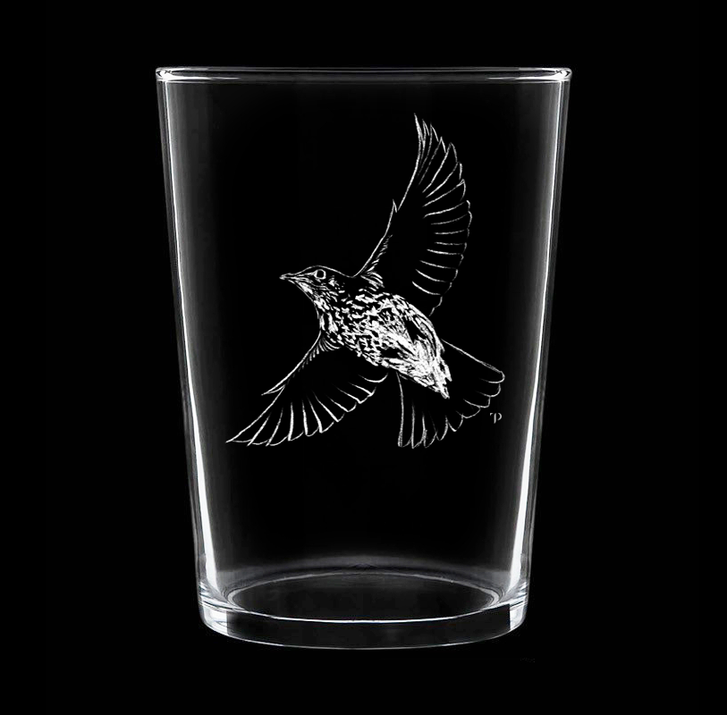 Zorzal N.2 - Vaso ancho de vidrio