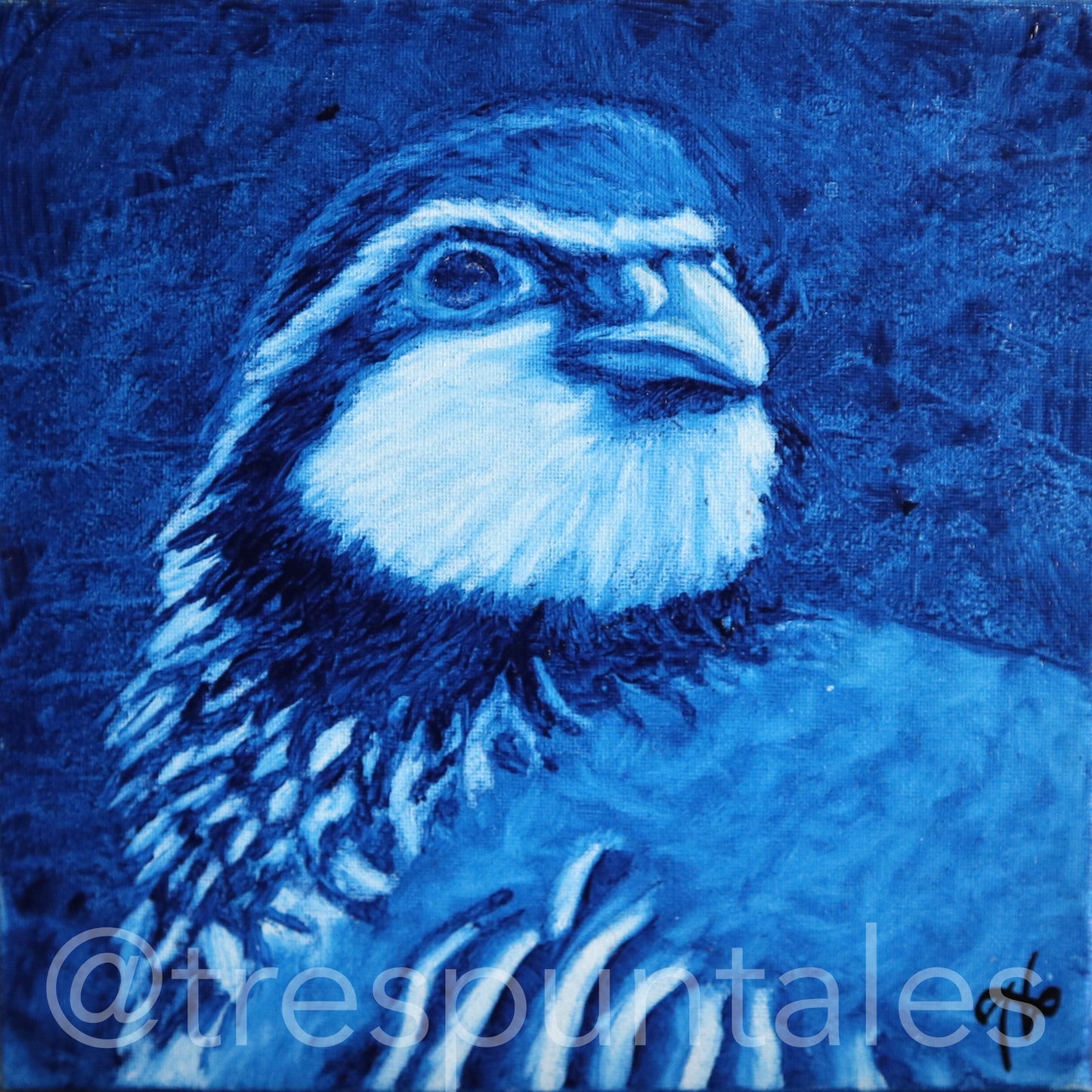 "Azul" - Obra de perdiz