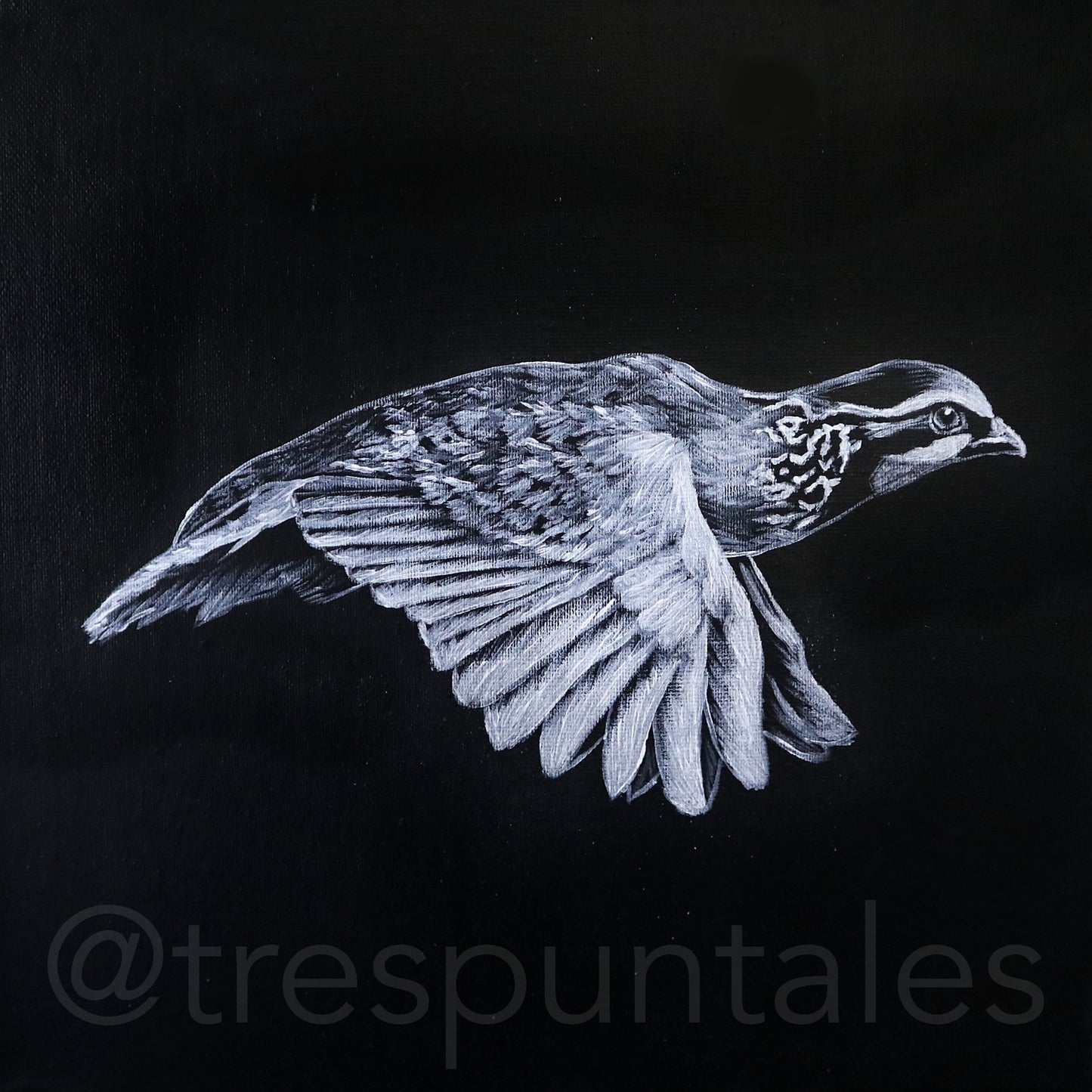 "Velocidad" - Obra de perdiz