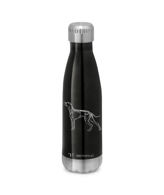 Pointer - Botella Térmica