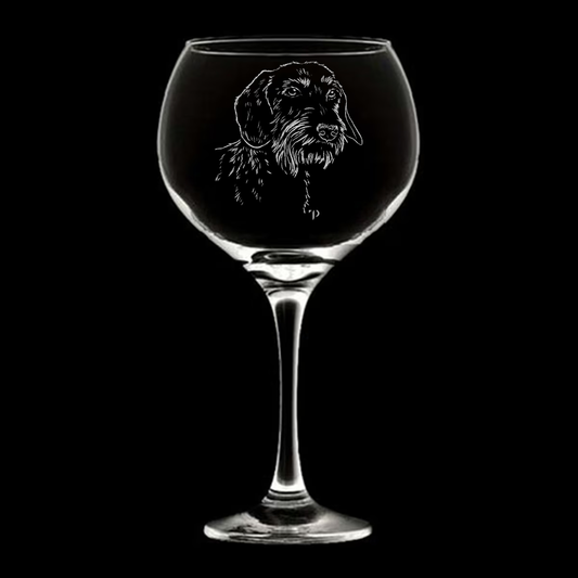 Teckel Pelo Duro - Copa de balón