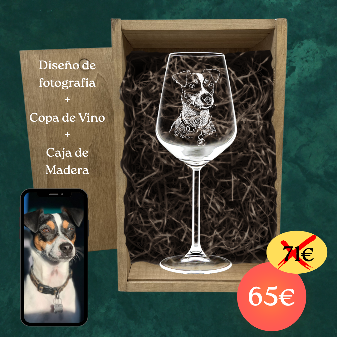 COPA con DISEÑO de FOTOGRAFÍA