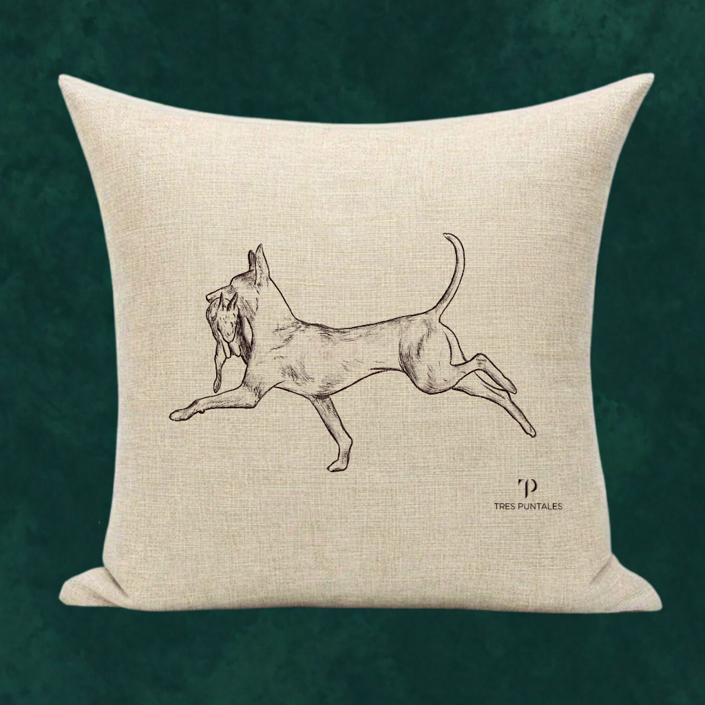 Fundas de Cojín - 33 Animales