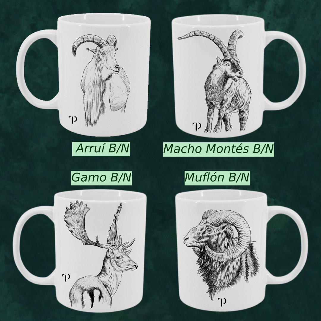 BOTELLA/TERMO +  TAZA + CAJA MADERA (diseños a elegir)